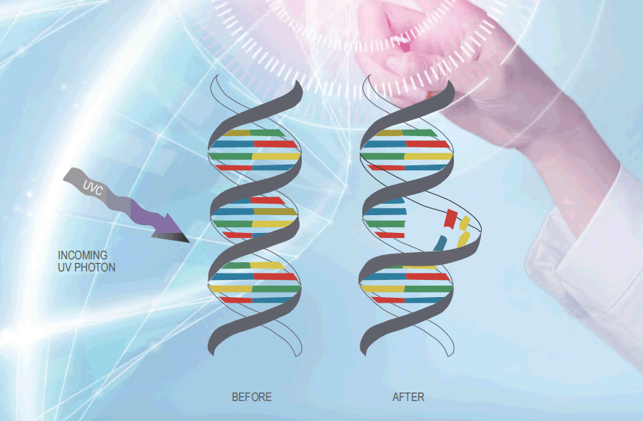 The Power of Light: An In-Depth Look at UV LED Disinfection Principles and Applications