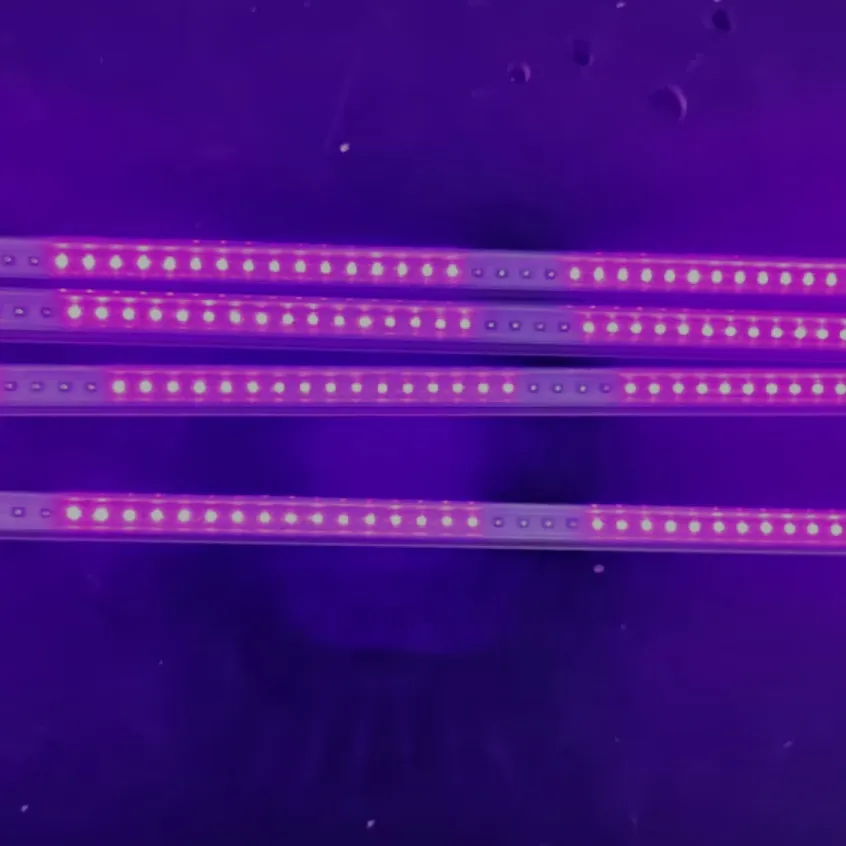 UV Light Disinfection For Hospitals