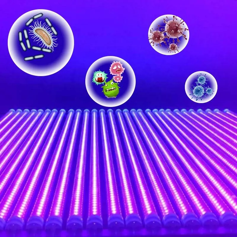 UV Light Disinfection For Hospitals