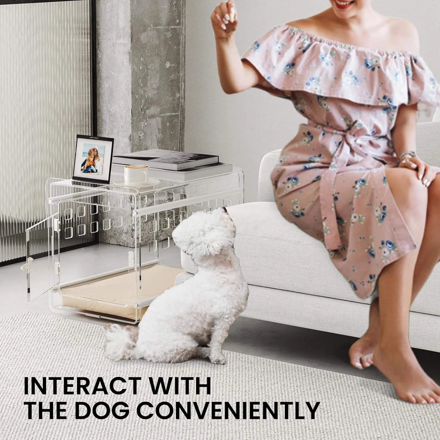 Acrylic Pet Supplies