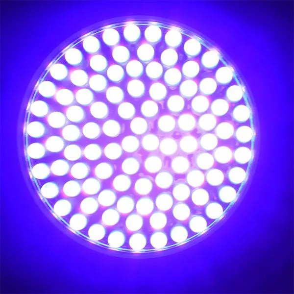 Battery Operated UV Light