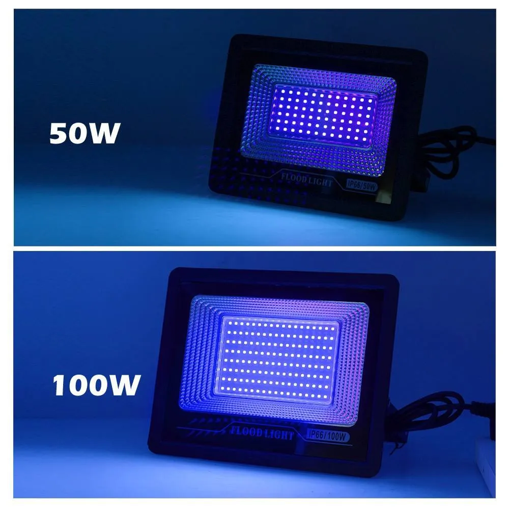 Outdoor UV Light