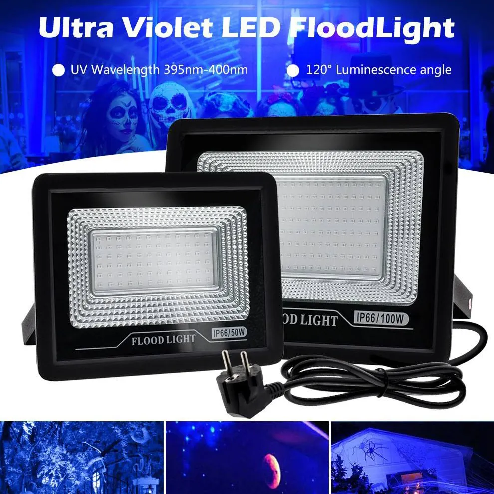 Outdoor UV Light