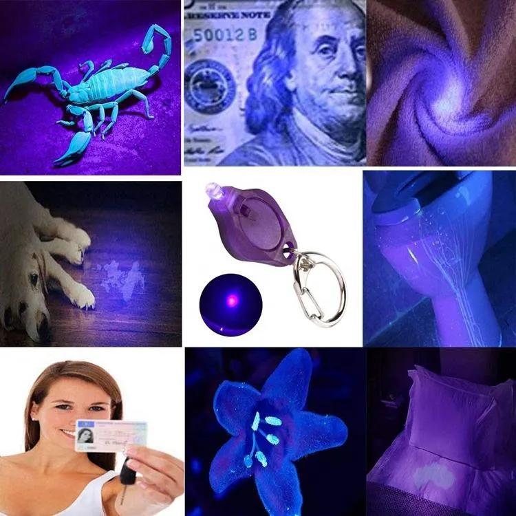 UV Keychain Light