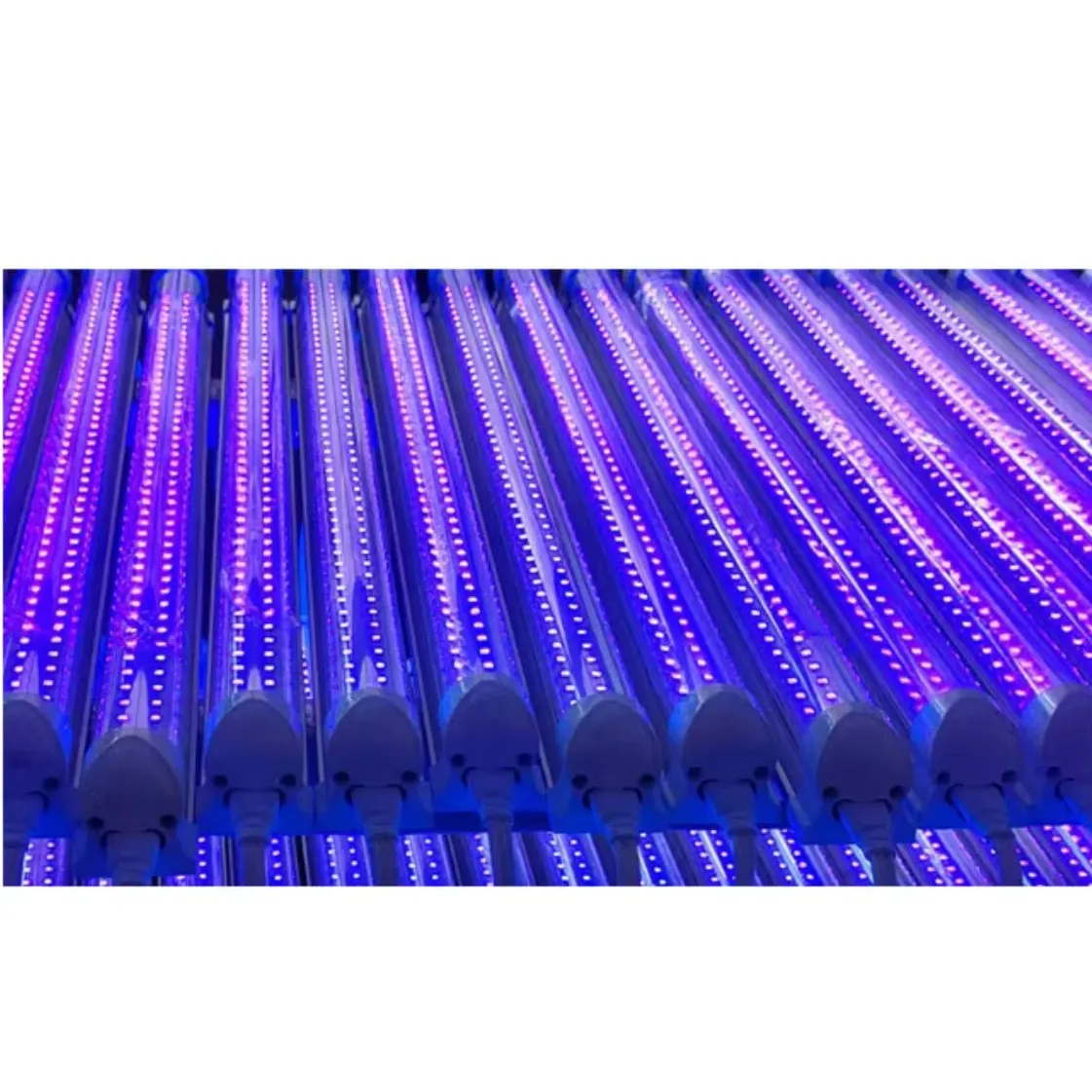 UV Tube Light