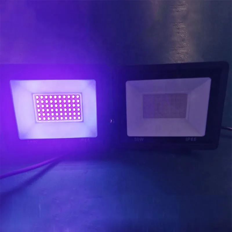 UV Flood Light