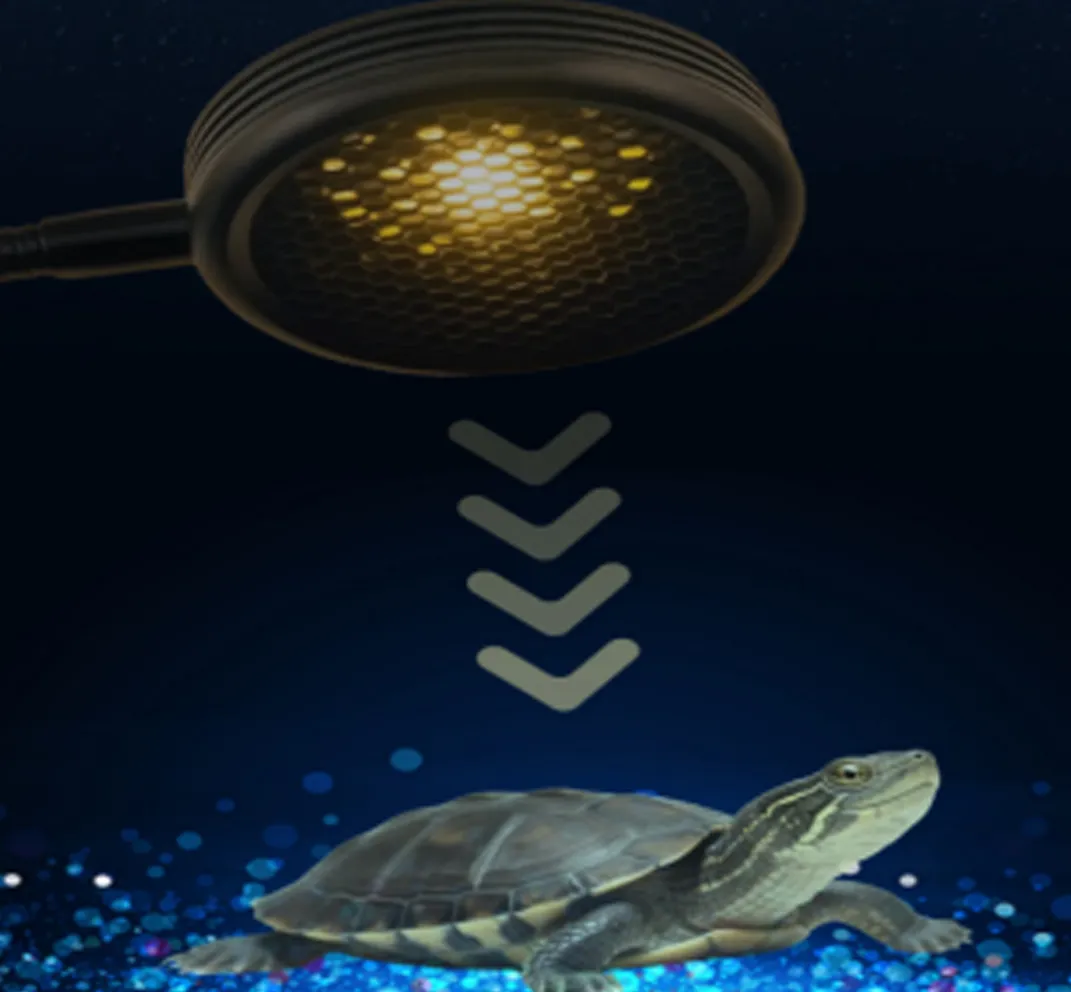 UVB/UVA Reptile Lamp