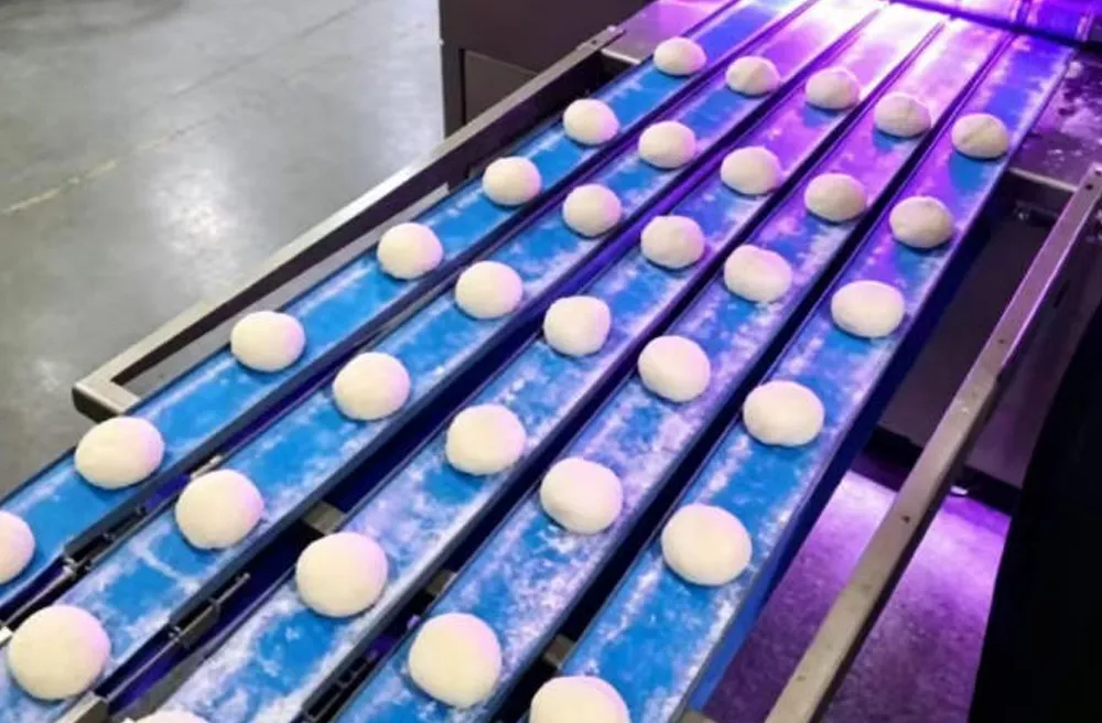 UV LED Conveyor Belt Sterilization – Custom Solution for Food Industry