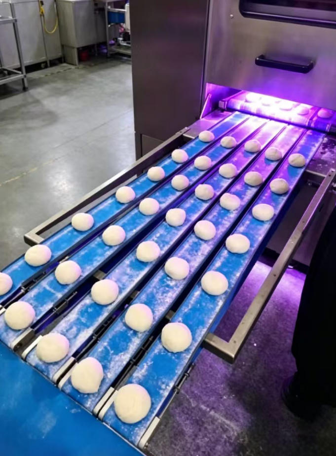 UV_LED_Conveyor_Belt_Sterilization_–_Custom_Solution_for_Food_Industry.jpg UV_LED_Conveyor_Belt_Sterilization_–_Custom_Solution_for_Food_Industry.jpg