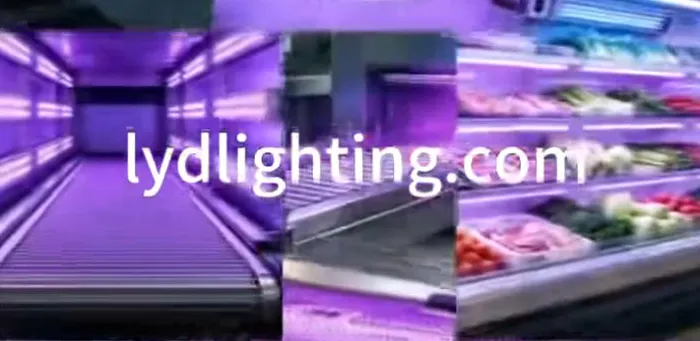 UV LED Sterilization for Food Processing – Fresh Display, Egg Line, Bakery Conveyor | LYD Electronics