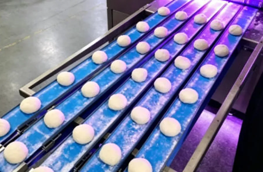 UV LED Conveyor Belt Sterilization – A Game Changer for Food Safety